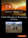 Cattle Driving in Wyoming, Wyoming